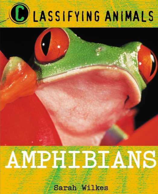 Classifying Animals: Amphibians, Paperback / softback Book