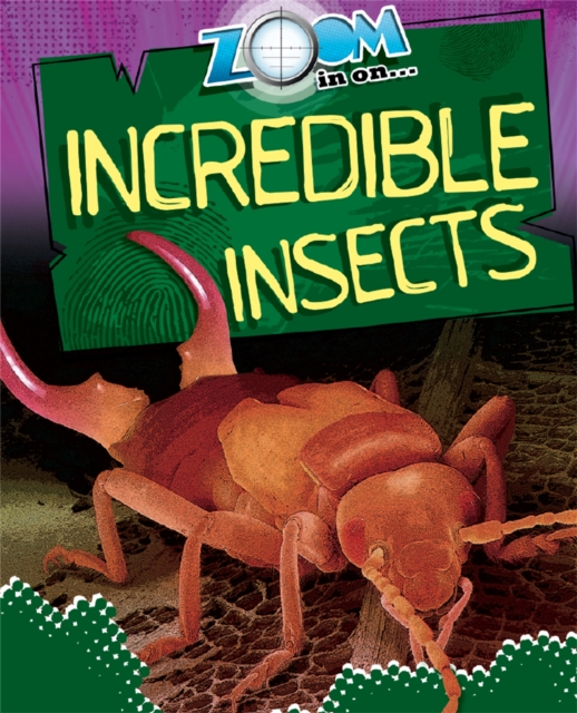 Zoom in On: Incredible Insects, Paperback / softback Book