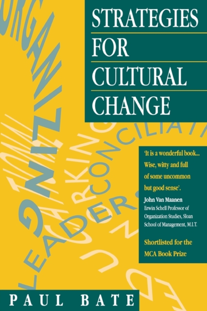 Strategies for Cultural Change, Paperback / softback Book