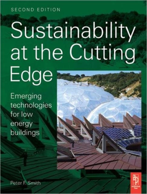 Sustainability at the Cutting Edge, Paperback / softback Book