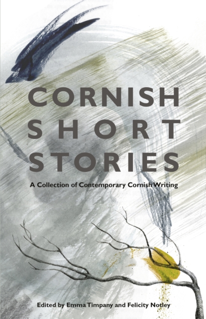 Cornish Short Stories : A Collection of Contemporary Cornish Writing, Paperback / softback Book