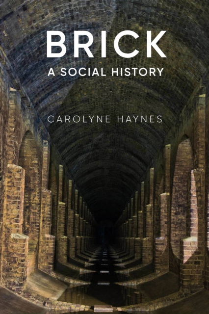 Brick : A Social History, Paperback / softback Book