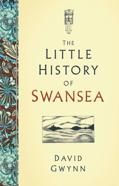 The Little History of Swansea, Hardback Book