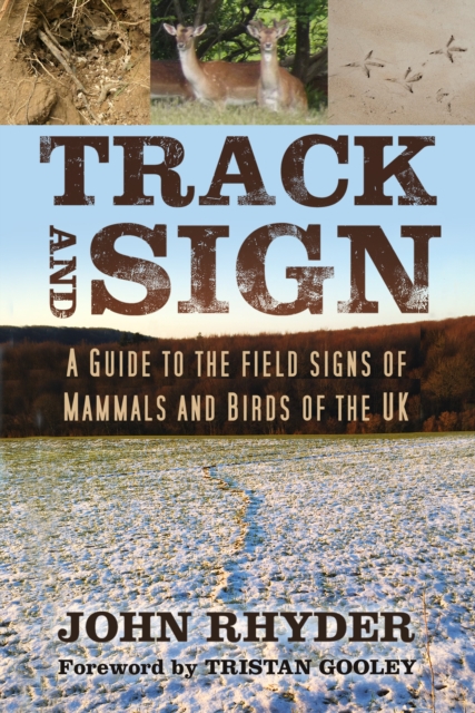 Track and Sign : A Guide to the Field Signs of Mammals and Birds of the UK, Paperback / softback Book