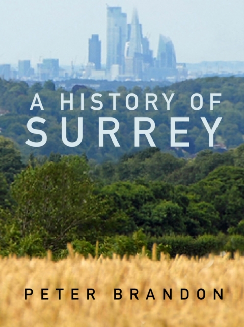 A History of Surrey, EPUB eBook
