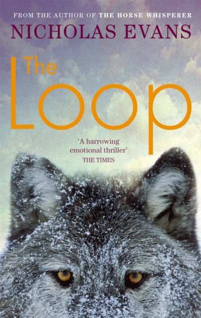 The Loop, Paperback / softback Book