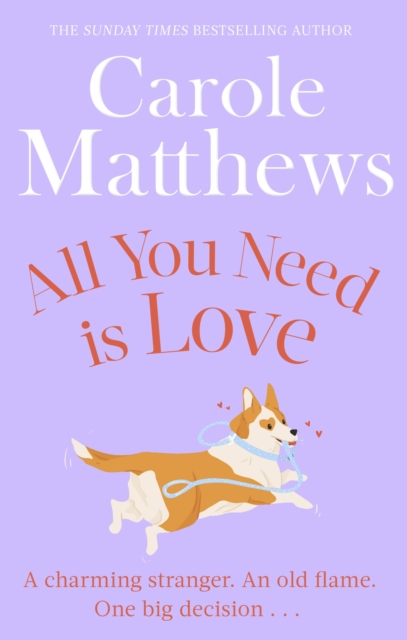 All You Need is Love : The uplifting romance from the Sunday Times bestseller, Paperback / softback Book