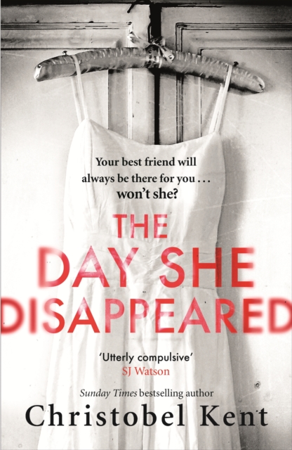 The Day She Disappeared : From the bestselling author of The Loving Husband, EPUB eBook