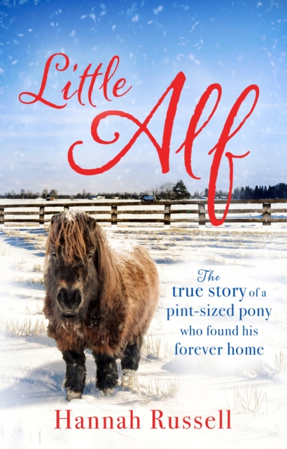 Little Alf : The true story of a pint-sized pony who found his forever home, EPUB eBook