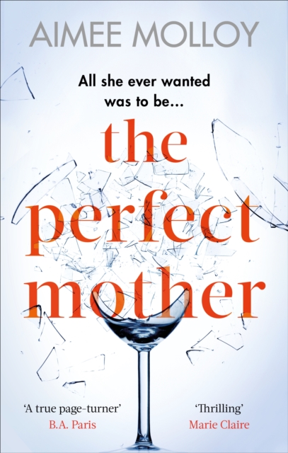 The Perfect Mother : A gripping thriller with a nail-biting twist, EPUB eBook