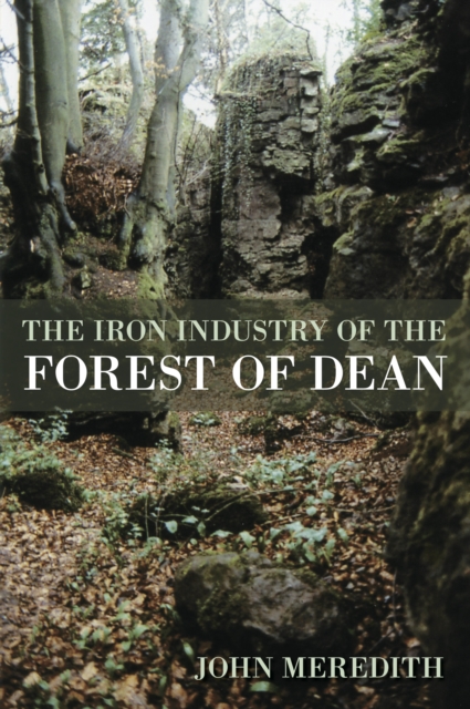 The Iron Industry of the Forest of Dean, Paperback / softback Book