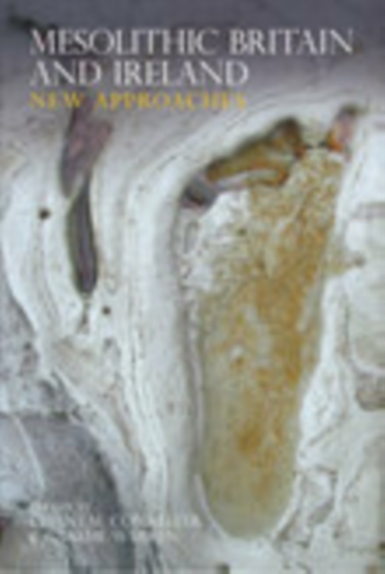Mesolithic Britain and Ireland : New Approaches, Paperback / softback Book
