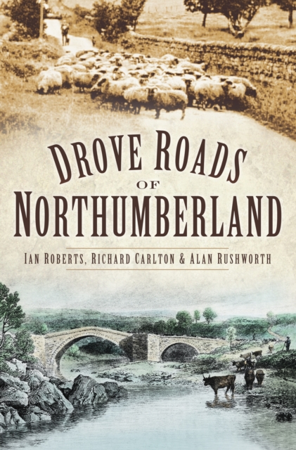 Drove Roads of Northumberland, Paperback / softback Book