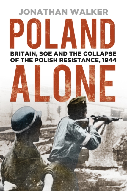 Poland Alone, EPUB eBook