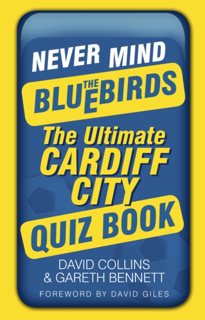 Never Mind the Bluebirds, EPUB eBook