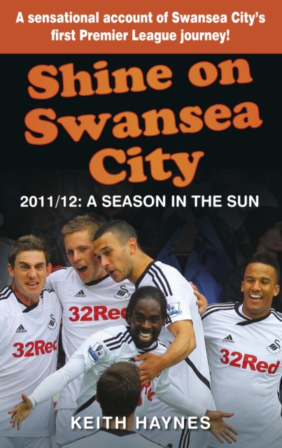 Shine On Swansea City, EPUB eBook