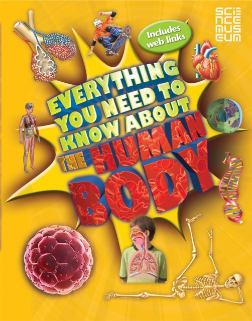 Everything You Need To Know About The Human Body, Paperback / softback Book