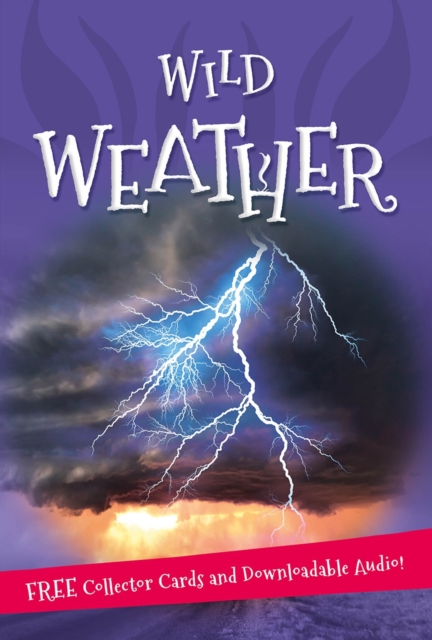 It's all about... Wild Weather, Paperback / softback Book