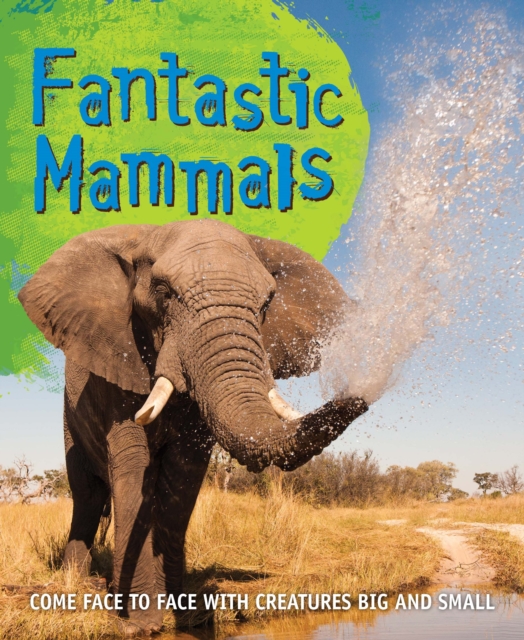 Fast Facts! Fantastic Mammals, Paperback / softback Book