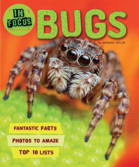 In Focus: Bugs, Paperback / softback Book
