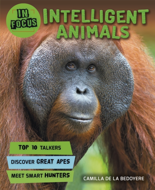 In Focus: Intelligent Animals, Paperback / softback Book