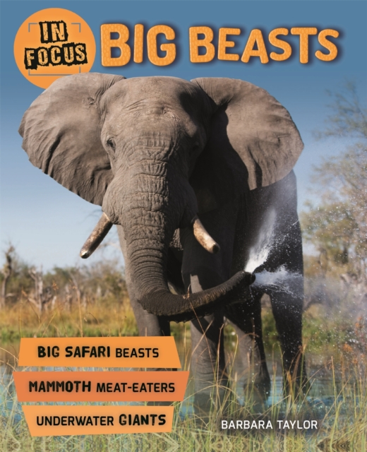 In Focus: Big Beasts, Paperback / softback Book