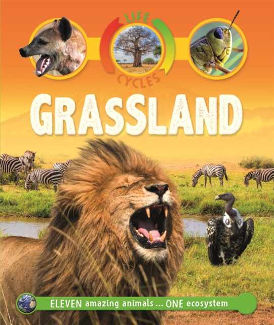Life Cycles: Grassland, Paperback / softback Book