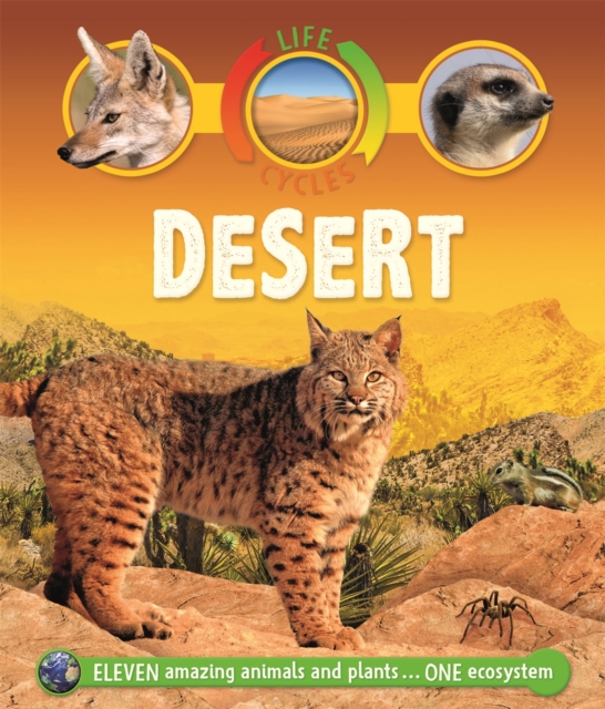 Life Cycles: Desert, Paperback / softback Book