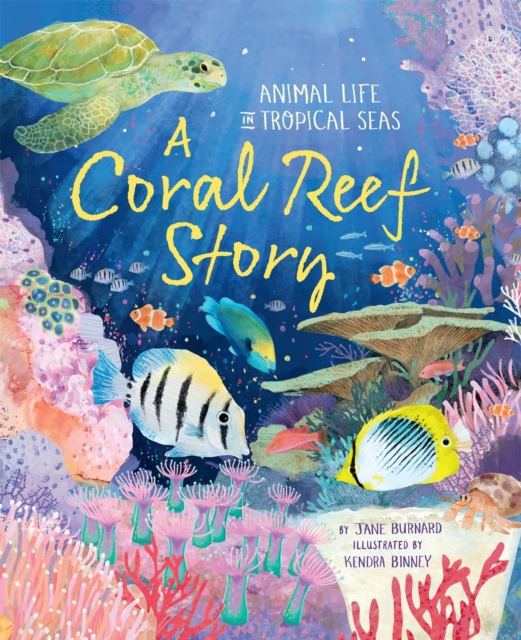 A Coral Reef Story : Animal Life in Tropical Seas, Hardback Book