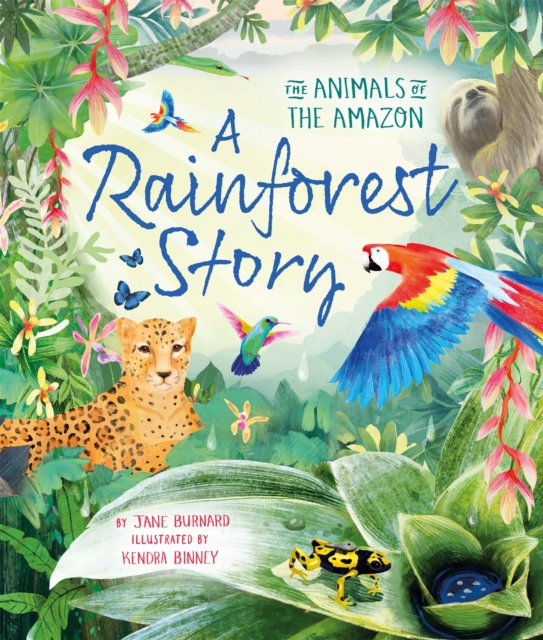 A Rainforest Story : The Animals of the Amazon, Hardback Book