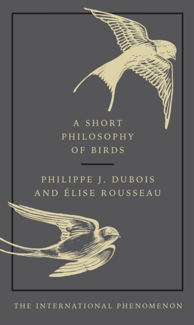 A Short Philosophy of Birds, Hardback Book