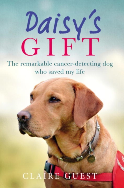 Daisy's Gift : The Remarkable Cancer-Detecting Dog Who Saved My Life, Hardback Book