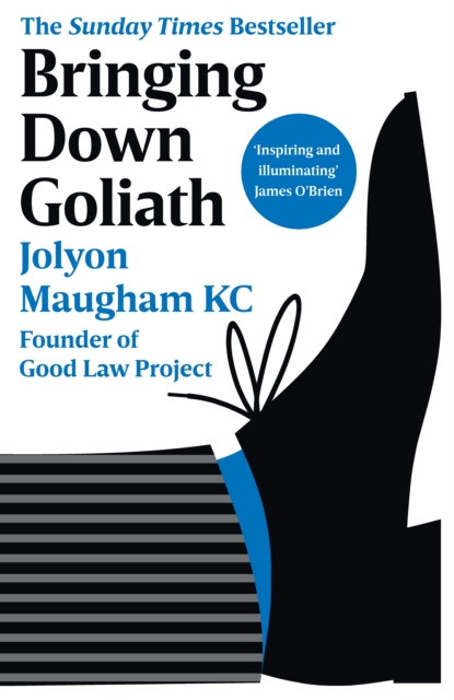 Bringing Down Goliath : How Good Law Can Topple the Powerful, EPUB eBook