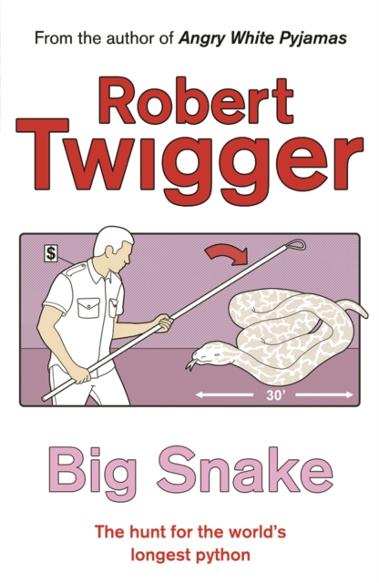Big Snake : Big Snake, Paperback / softback Book