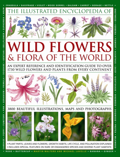 Illustrated Encyclopedia of Wild Flowers & Flora of the World, Hardback Book