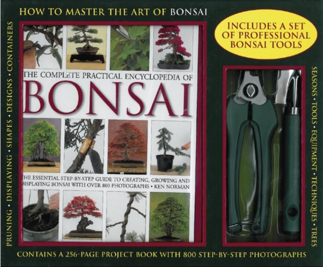 How to Master the Art of Bonsai, Paperback / softback Book