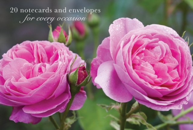 Card Box of 20 Notecards and Envelopes: Pink Rose, Cards Book