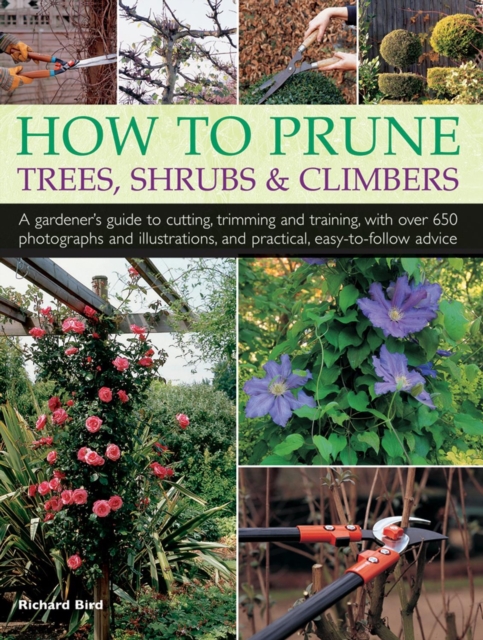 How to Prune Trees, Shrubs & Climbers, Paperback / softback Book