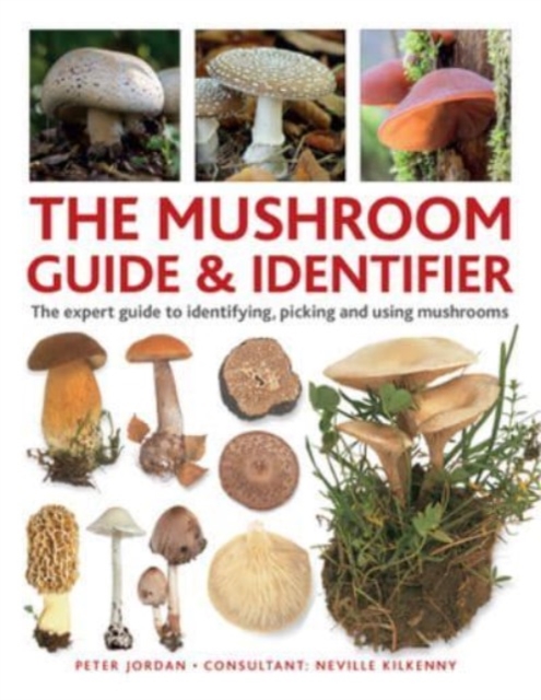 The Mushroom Guide & Identifer : An expert manual for identifying, picking and using edible wild mushrooms found in the British Isles, Hardback Book