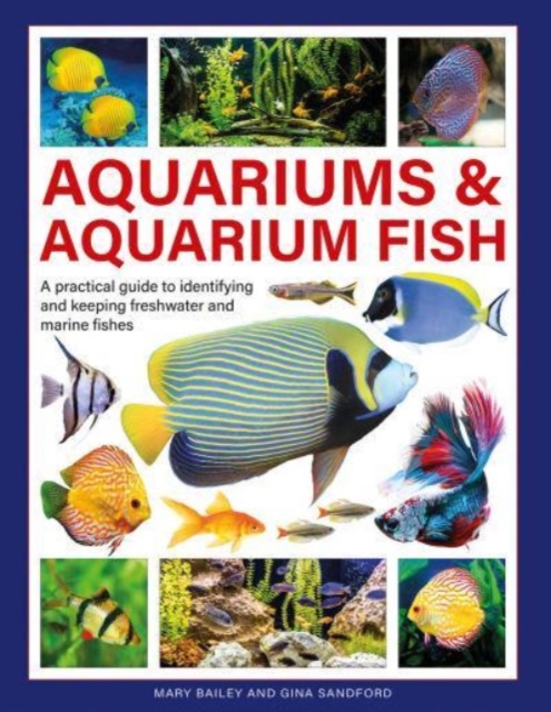 Aquariums & Aquarium Fish : A practical guide to identifying and keeping freshwater and marine fishes, Hardback Book