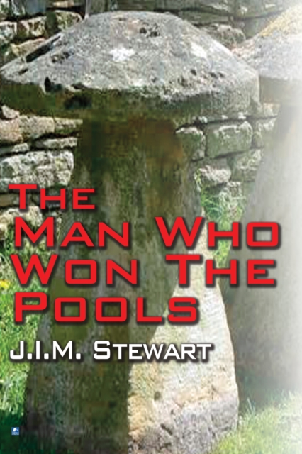 Man Who Won The Pools, EPUB eBook