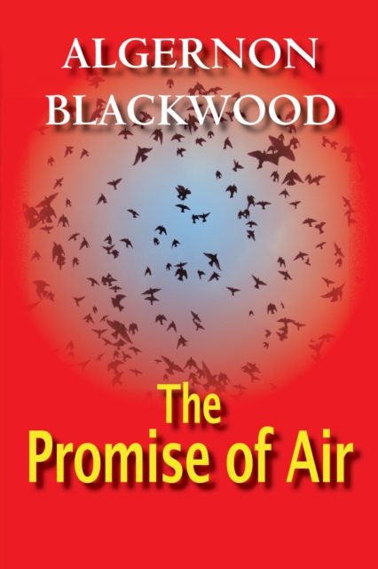 The Promise Of Air, EPUB eBook