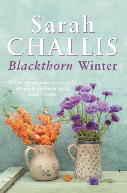 Blackthorn Winter, EPUB eBook
