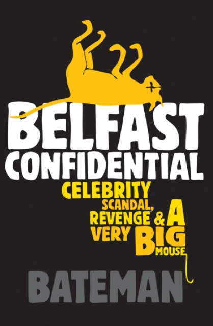 Belfast Confidential, EPUB eBook