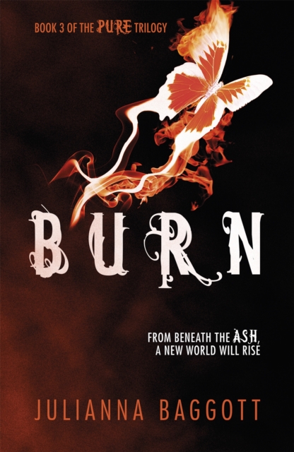 Burn, Paperback / softback Book