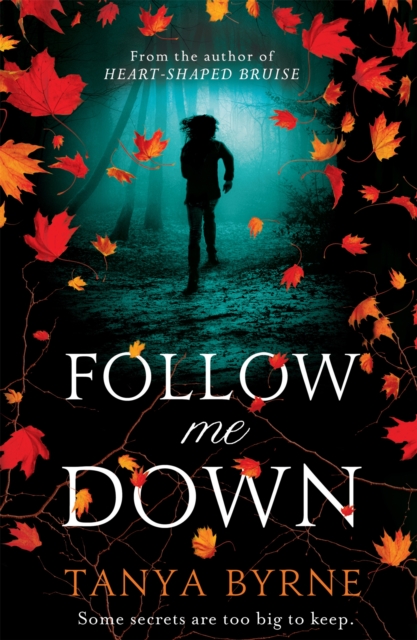Follow Me Down, Paperback / softback Book