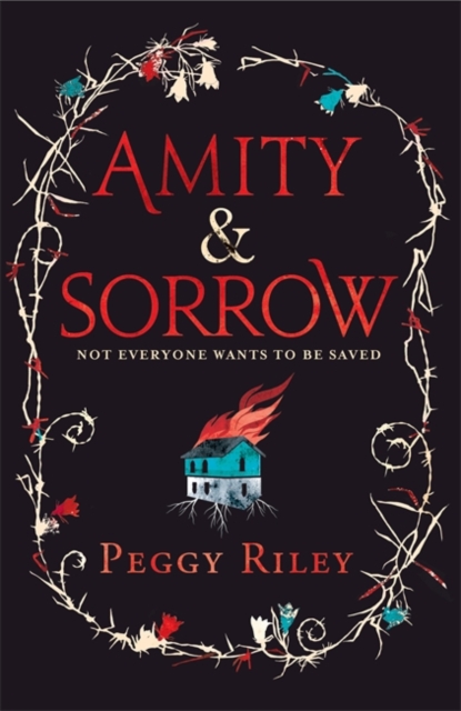 Amity & Sorrow, Hardback Book