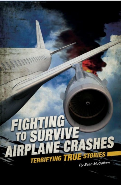 Airplane Crashes, Paperback / softback Book