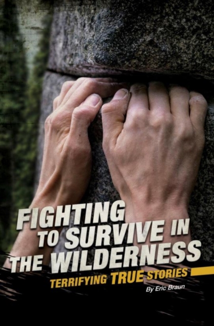 In The Wilderness, Paperback / softback Book