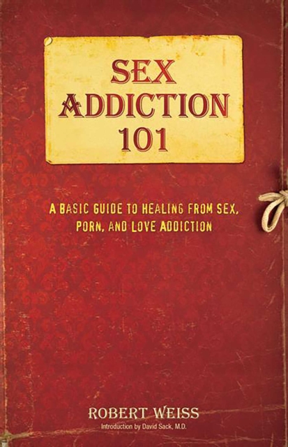 Sex Addiction 101 : A Basic Guide to Healing from Sex, Porn, and Love Addiction, EPUB eBook